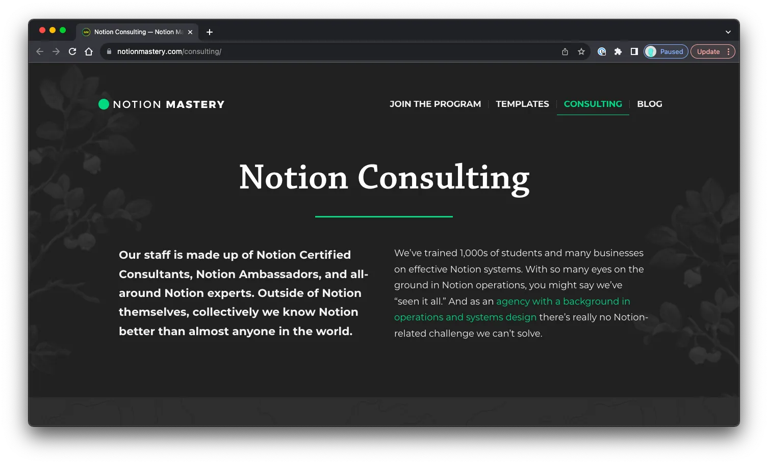 Notion Consulting: Sales Page Preview